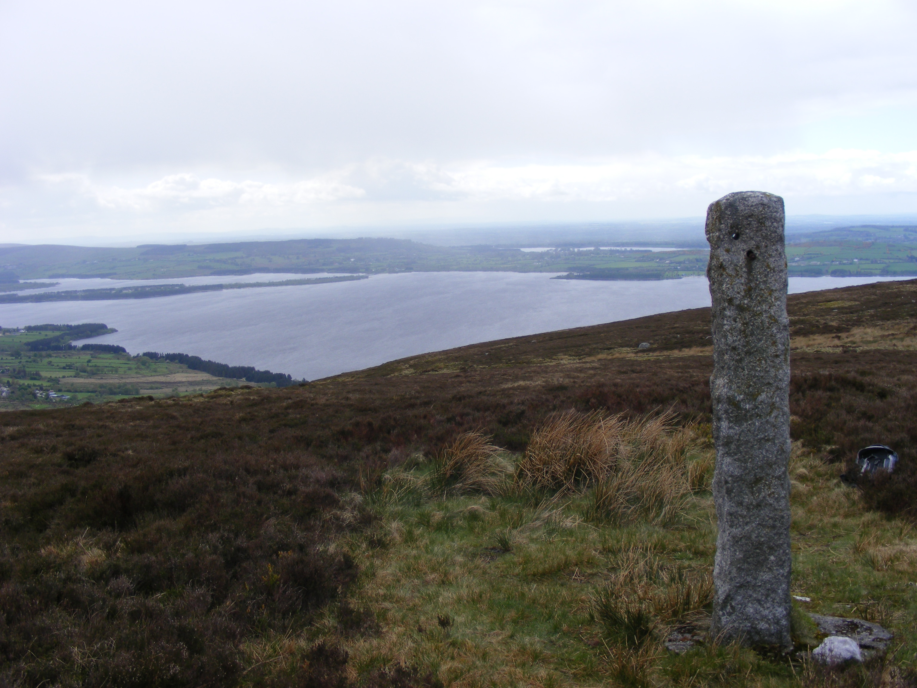 The memorial stone with Poulaphouca Reservoir in
              the background.