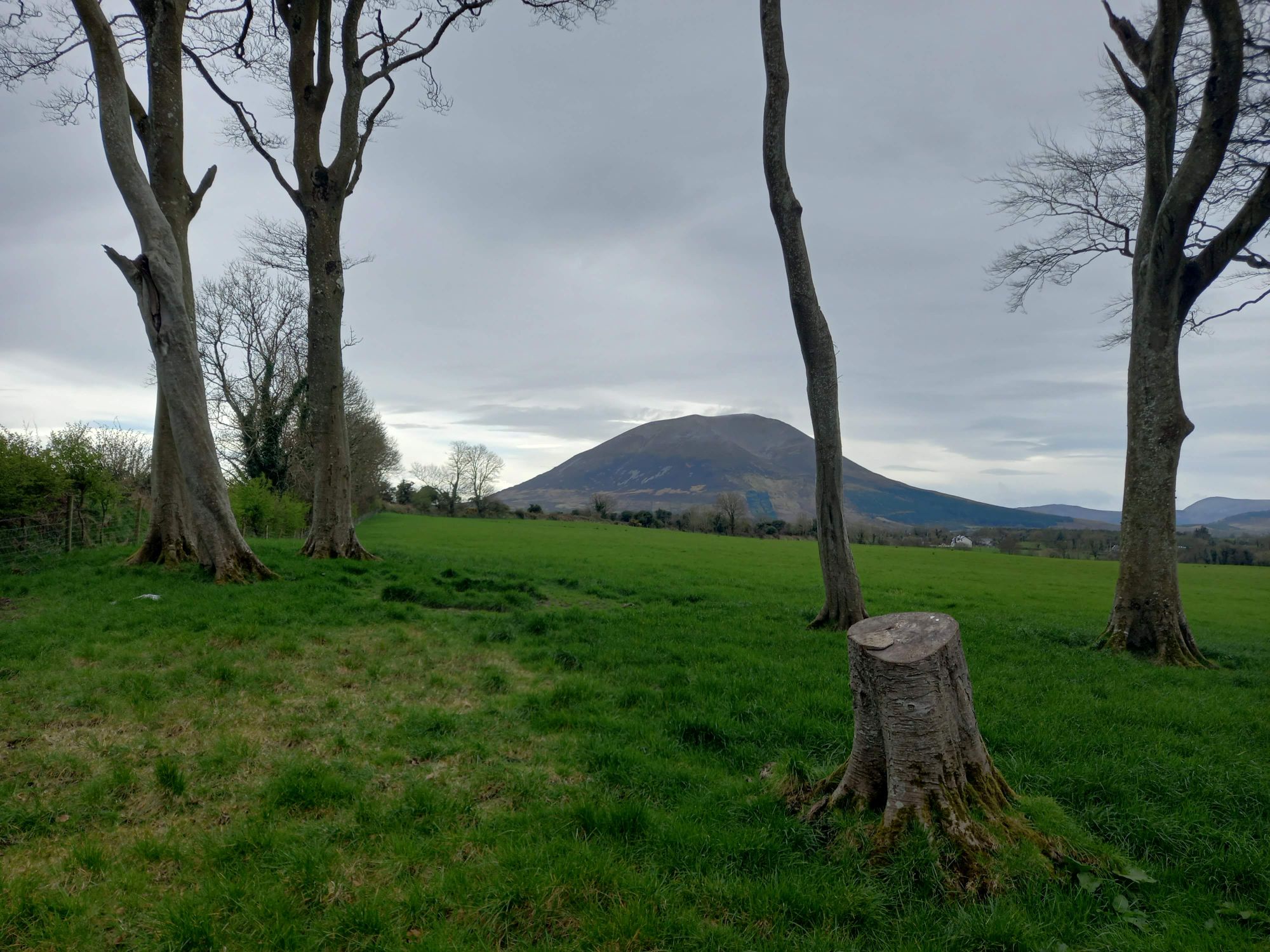 Blenheim Z6021 Crash
              location
